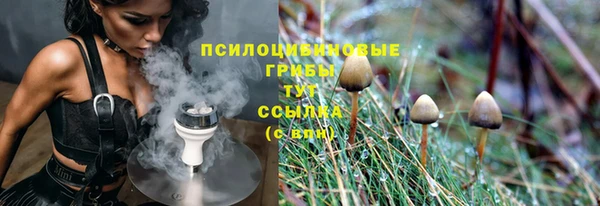стаф Баксан