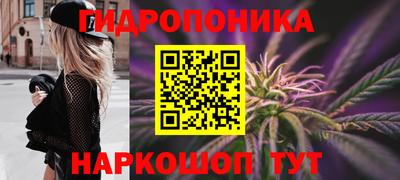 гидропоника Кунгур