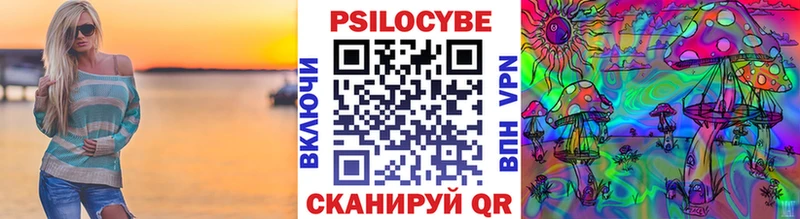 купить наркотики цена  Черняховск  Галлюциногенные грибы Psilocybine cubensis 