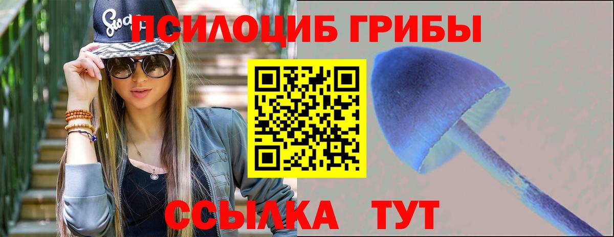 Псилоцибиновые грибы Magic Shrooms  Вход с VPN  Черняховск  Псилоцибиновые грибы мицелий 